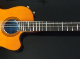 Nylon String Electro