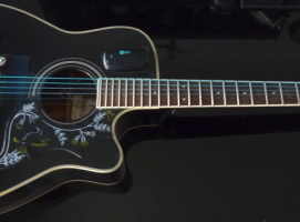 Eamonn\'s Work Horse Acoustic