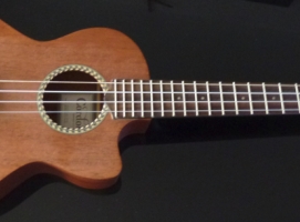 Ukulele